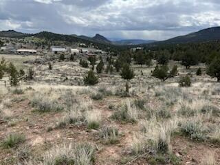 IMG_2492_1711465213618