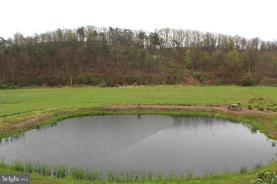 1297 Thorn Run Rd, Lahmansville, WV 26731 - photo 6