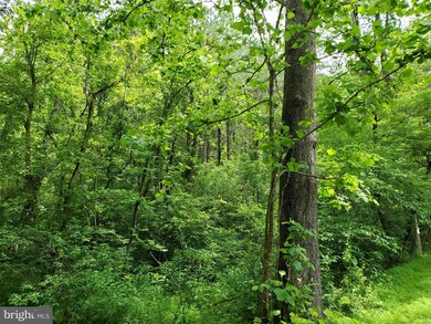 00 Ridgeview Ln, Washington, VA 22747 - photo 4