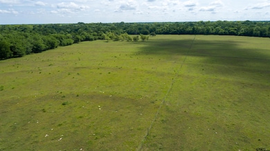 2729 Texas 37, Mount Vernon, TX 75457 - photo 7