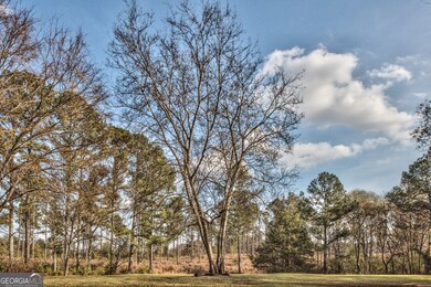 5140 Seven Islands Rd, Madison, GA 30650 - photo 6