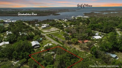 212 2nd St NW, Steinhatchee, FL 32359 - photo 4
