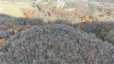 199 Bellbridge Rd, Elizabeth, PA 15037 - photo 6