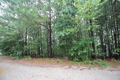 0 Jesse Trail unit SPN331210, Gaffney, SC 29341 - photo 4