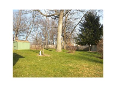 Yard.