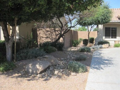 Landscape Detail at front yard