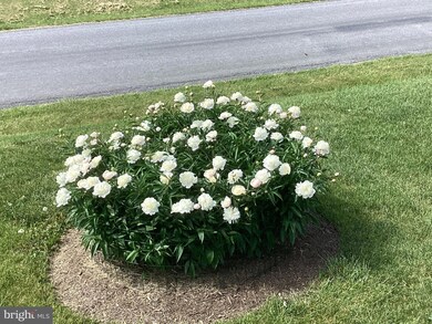 824 Copp Rd, Strasburg, VA 22657 - photo 3