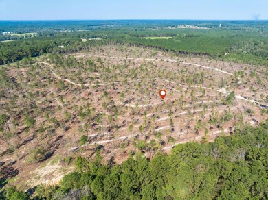 8.24 +/- Acres Noel Townsend Rd, Seminary, MS 39429 - photo 6