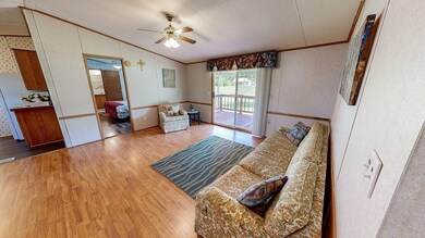 View into main Living Area from Foyer