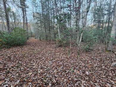 Copperhead Rd pic 14