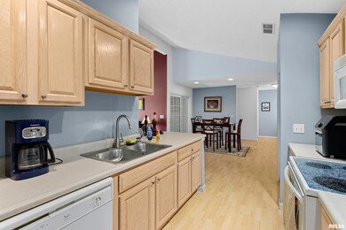 4555 N Thornhill Dr unit 206, Peoria, IL 61615 - photo 5