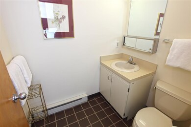 15D Snow Tree Ln unit 4D Clovers, Dover, VT 05356 - photo 3