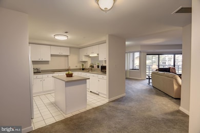 Watermark Place unit 404, Columbia, MD 21044 - photo 5