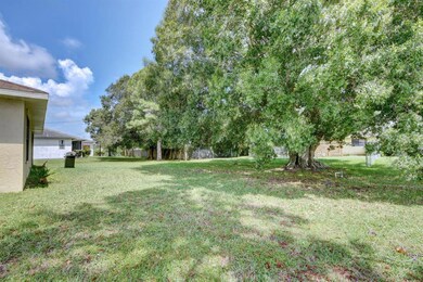 Back Yard with Large Oak Tree