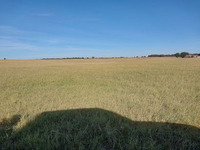 3350 Farm To Market 587, de Leon, TX 76444 - photo 2