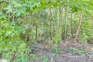 1208 Bradford Creek Ln, Taylors, SC 29687 - photo 6