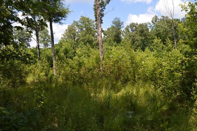 Looking for a small tract in the country?  Here it is! 