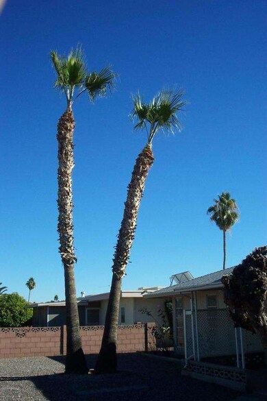 PALMS
