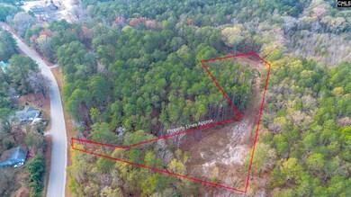 175 Pine Needle Cir, Gaston, SC 29053 - photo 5