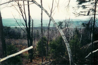 0 Poole Hill Rd unit Map 405 Lot 004-001, Bristol, NH 03222 - photo 2