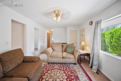 105 Larch Dr, Colorado Springs, CO 80911 - photo 3