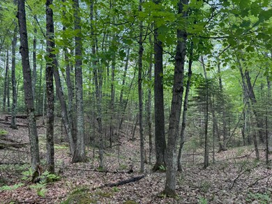 Lot 127 Woodhill Ct, Minocqua, WI 54548 - photo 7