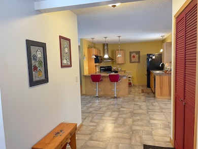 7115 State Highway 1, Finland, MN 55603 - photo 3