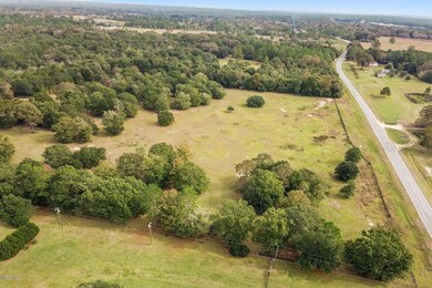 20 Ac Highway 612, Lucedale, MS 39452 - photo 3