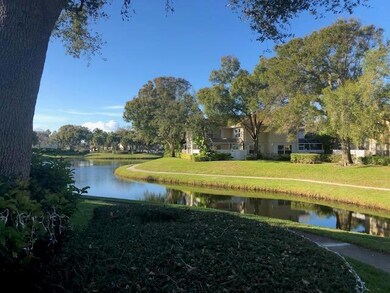 YOUR OUTSIDE VIEW