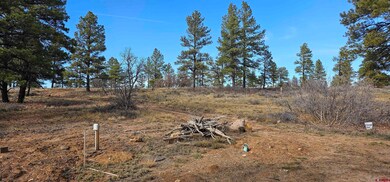 111 Tower Place, Pagosa Springs, CO 81147 - photo 7