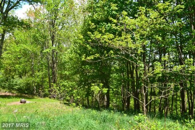 0 Shenandoah Mountain Rd unit 1000213733, Mathias, WV 26812 - photo 6