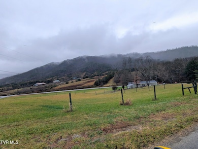 61 Rattlesnake Ridge Rd, Chuckey, TN 37641 - photo 4