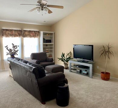 Living Room/New Carpeting