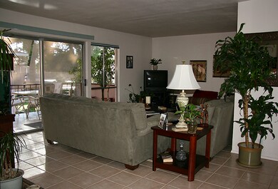 Huge Entertaining Room