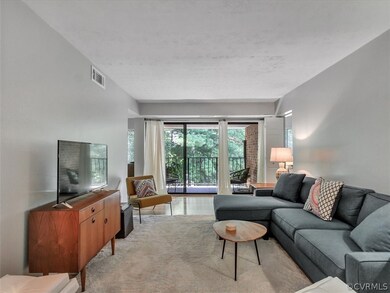 1502 Largo Rd unit 304, Henrico, VA 23238 - photo 3