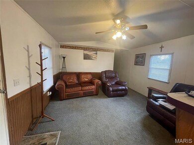 605 S Park Ave, Salem, MO 65560 - photo 6