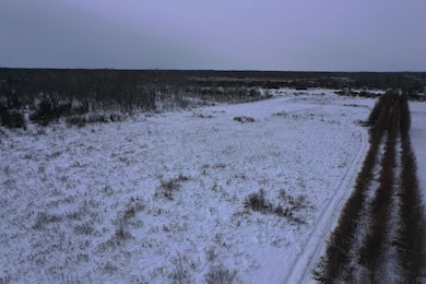 Tbd County Highway 73, Deer Creek, MN 56527 - photo 3