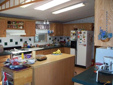 SKYLIGHTS AND WINDOW AT THE SINK WITH VIEWS OF THE