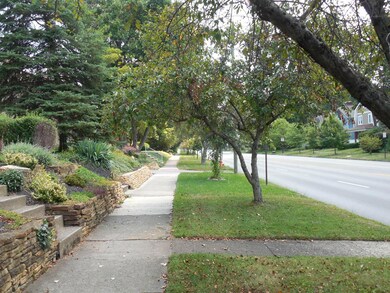 146 -Tree lined Street