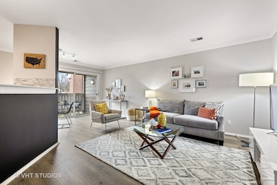 23 Burberry Cir unit 421, Schaumburg, IL 60173 - photo 4