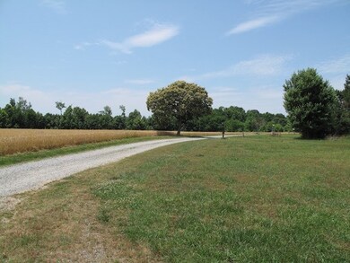 Farmed land across from this property.