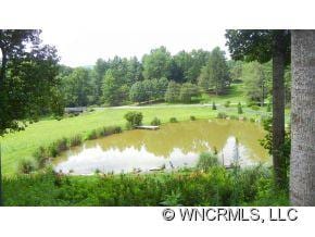 921 Old Leicester Hwy, Asheville, NC 28806 - photo 4