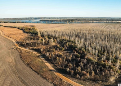 0 Wolf Island Rd, Clinton, KY 42031 - photo 3