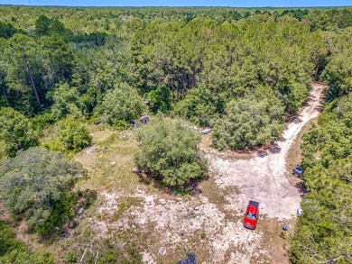 269 Whiddon Lake Rd, Crawfordville, FL 32327 - photo 4