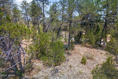3127RanchRd-HeberOvergaard-AZ-2