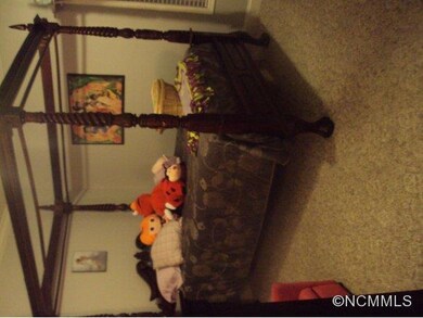 23 Trent Dr, Leicester, NC 28748 - photo 5