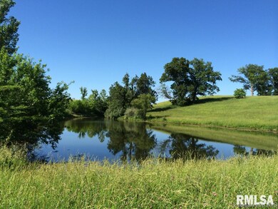 0 Illinois Route 78, Jacksonville, IL 62650 - photo 4