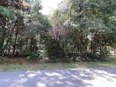 0 County Road 373 unit 48237845, Splendora, TX 77372 - photo 3