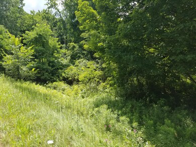 Dumont Road - Pic #4