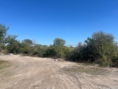 135 Cornelia Ave, San Antonio, TX 78228 - photo 4